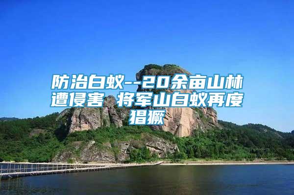 防治白蚁--20余亩山林遭侵害 将军山白蚁再度猖獗