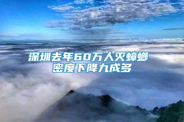 深圳去年60万人灭蟑螂 密度下降九成多