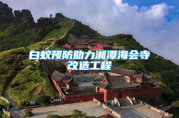 白蚁预防助力湘潭海会寺改造工程