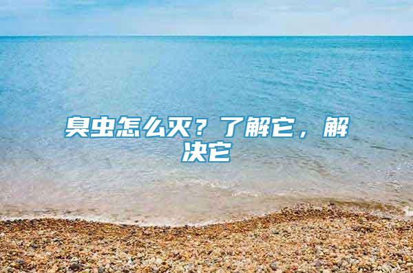 臭虫怎么灭？了解它，解决它