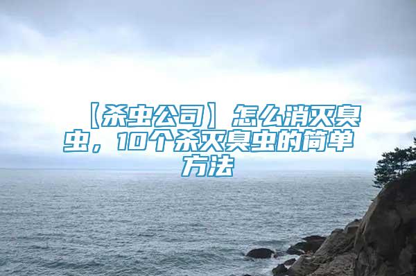 【杀虫公司】怎么消灭臭虫，10个杀灭臭虫的简单方法