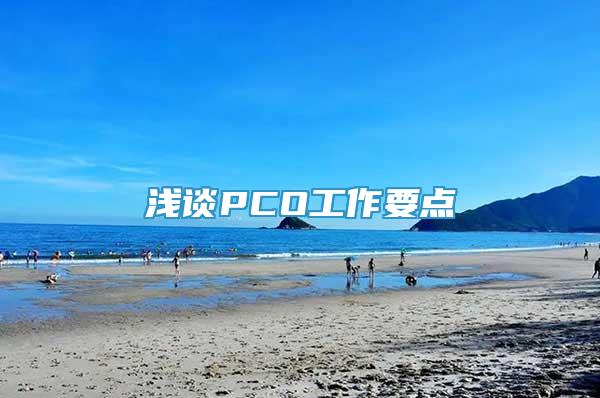 浅谈PCO工作要点