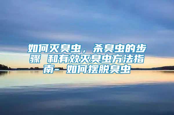 如何灭臭虫，杀臭虫的步骤 和有效灭臭虫方法指南- 如何摆脱臭虫