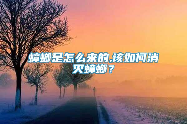 蟑螂是怎么来的,该如何消灭蟑螂？