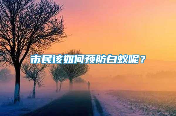 市民该如何预防白蚁呢？