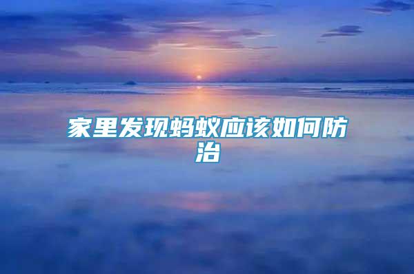 家里发现蚂蚁应该如何防治