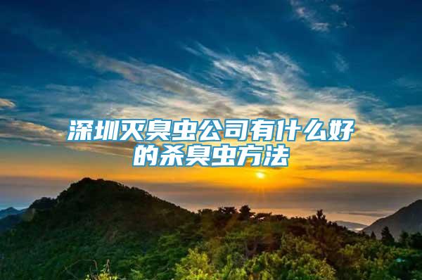 深圳灭臭虫公司有什么好的杀臭虫方法