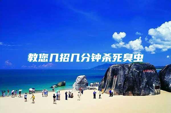 教您几招几分钟杀死臭虫