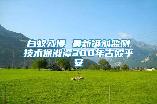 白蚁入侵 最新饵剂监测技术保湘潭300年古殿平安