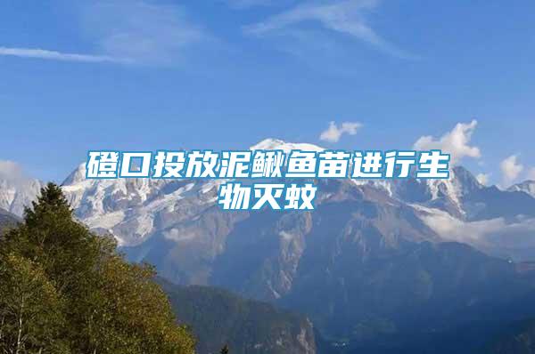 磴口投放泥鳅鱼苗进行生物灭蚊