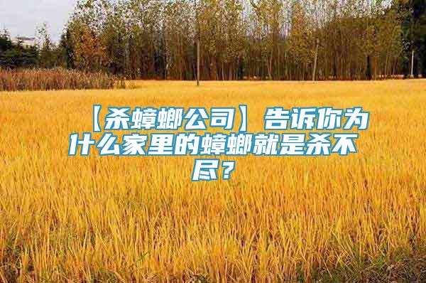 【杀蟑螂公司】告诉你为什么家里的蟑螂就是杀不尽？