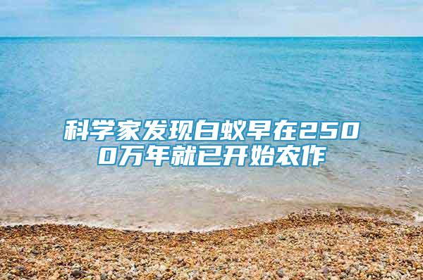 科学家发现白蚁早在2500万年就已开始农作