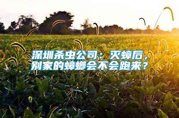 深圳杀虫公司：灭蟑后，别家的蟑螂会不会跑来？