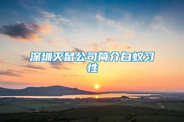 深圳灭鼠公司简介白蚁习性