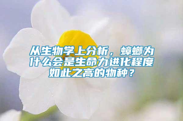 从生物学上分析，蟑螂为什么会是生命力进化程度如此之高的物种？