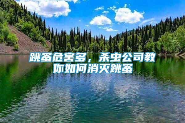 跳蚤危害多，杀虫公司教你如何消灭跳蚤