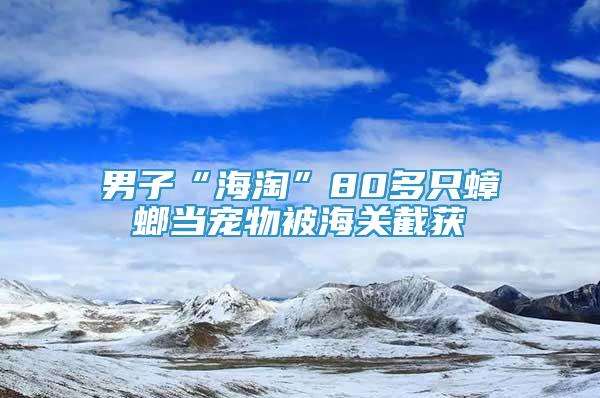 男子“海淘”80多只蟑螂当宠物被海关截获