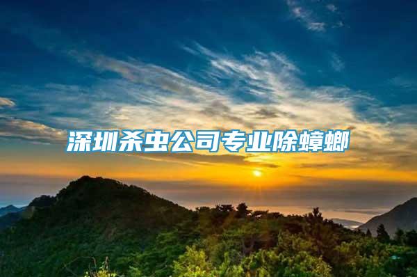 深圳杀虫公司专业除蟑螂