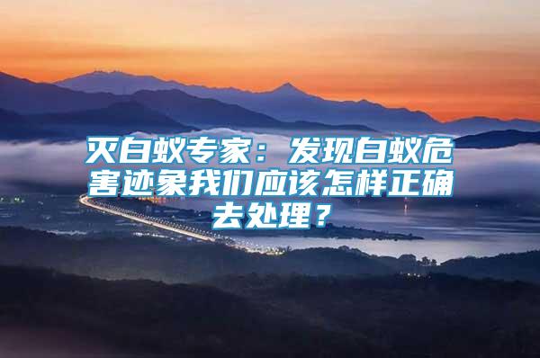 灭白蚁专家：发现白蚁危害迹象我们应该怎样正确去处理？