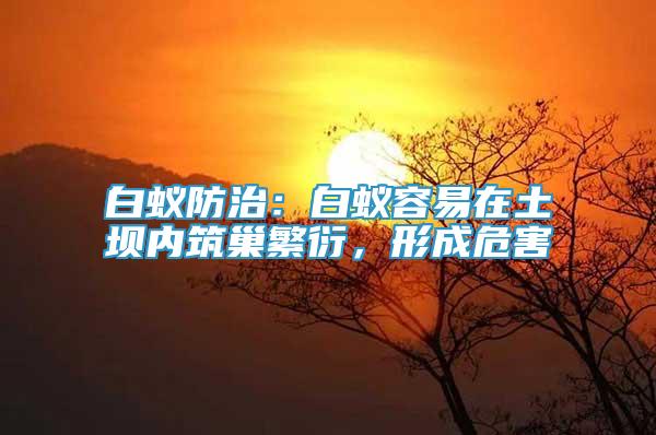 白蚁防治：白蚁容易在土坝内筑巢繁衍，形成危害