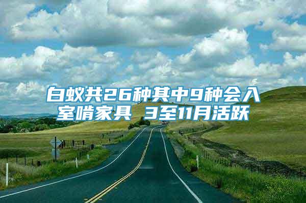 白蚁共26种其中9种会入室啃家具 3至11月活跃