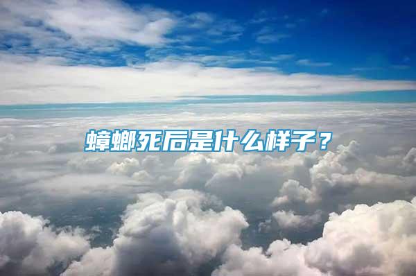 蟑螂死后是什么样子？