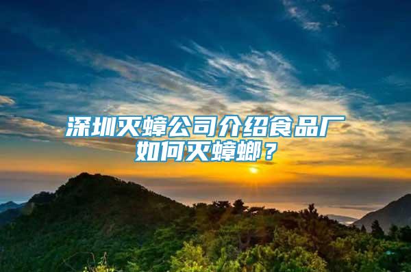 深圳灭蟑公司介绍食品厂如何灭蟑螂？