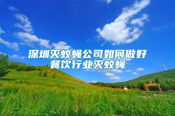 深圳灭蚊蝇公司如何做好餐饮行业灭蚊蝇