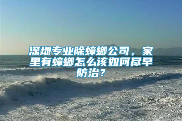 深圳专业除蟑螂公司，家里有蟑螂怎么该如何尽早防治？