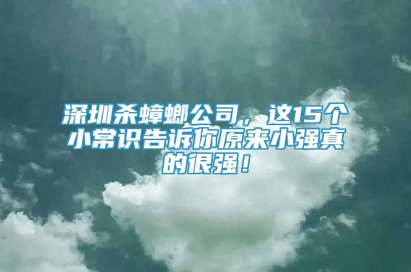 深圳杀蟑螂公司，这15个小常识告诉你原来小强真的很强！