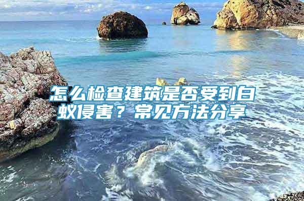 怎么检查建筑是否受到白蚁侵害？常见方法分享