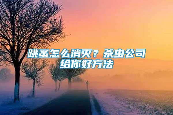 跳蚤怎么消灭？杀虫公司给你好方法