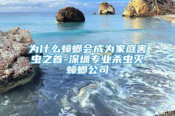 为什么蟑螂会成为家庭害虫之首-深圳专业杀虫灭蟑螂公司