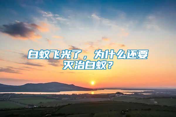 白蚁飞光了，为什么还要灭治白蚁？