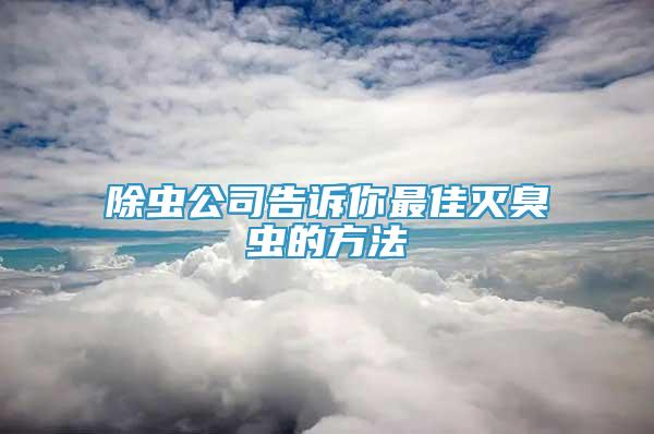 除虫公司告诉你最佳灭臭虫的方法
