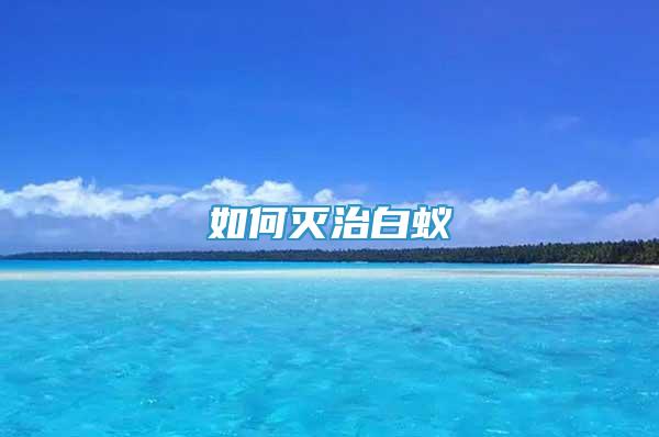 如何灭治白蚁