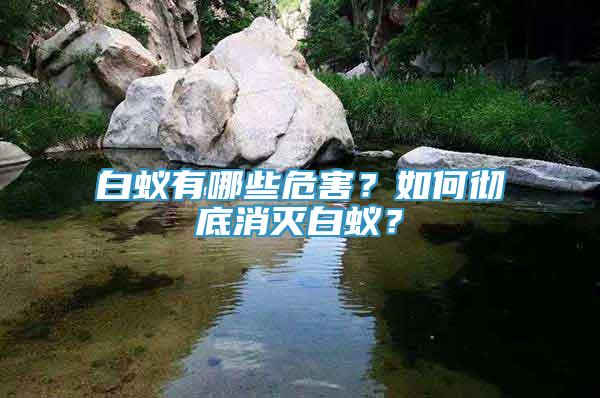 白蚁有哪些危害？如何彻底消灭白蚁？