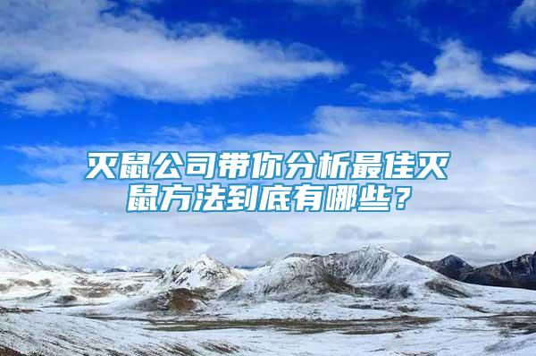 灭鼠公司带你分析最佳灭鼠方法到底有哪些？