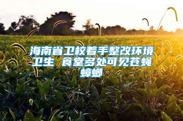 海南省卫校着手整改环境卫生 食堂多处可见苍蝇蟑螂