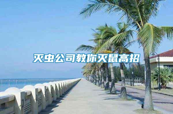 灭虫公司教你灭鼠高招