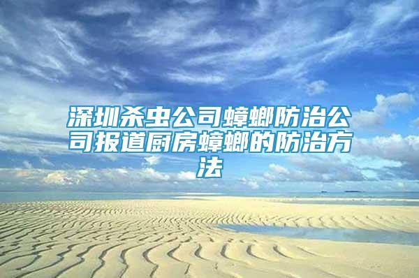 深圳杀虫公司蟑螂防治公司报道厨房蟑螂的防治方法