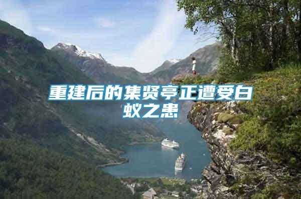 重建后的集贤亭正遭受白蚁之患