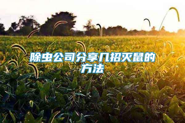 除虫公司分享几招灭鼠的方法