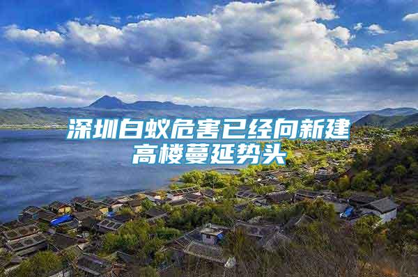 深圳白蚁危害已经向新建高楼蔓延势头