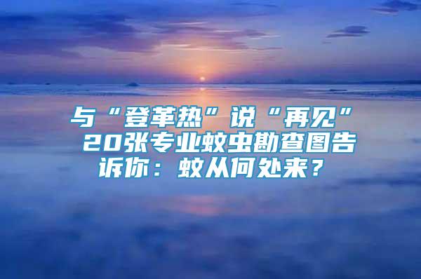 与“登革热”说“再见” 20张专业蚊虫勘查图告诉你：蚊从何处来？