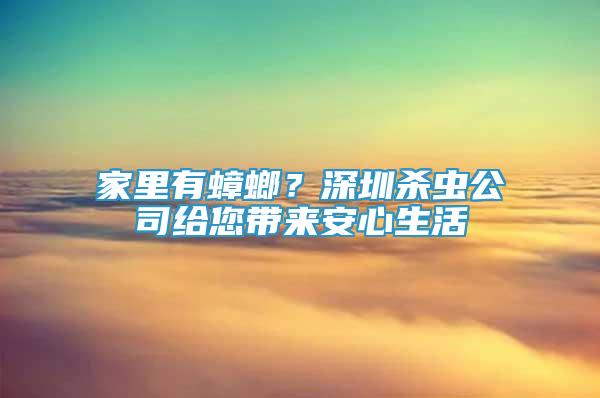 家里有蟑螂？深圳杀虫公司给您带来安心生活