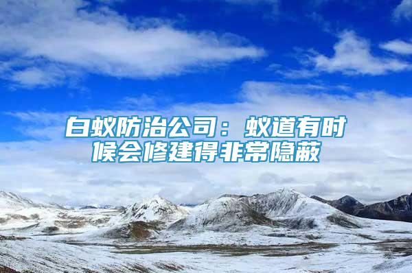 白蚁防治公司：蚁道有时候会修建得非常隐蔽