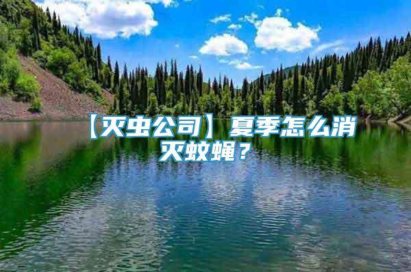 【灭虫公司】夏季怎么消灭蚊蝇？