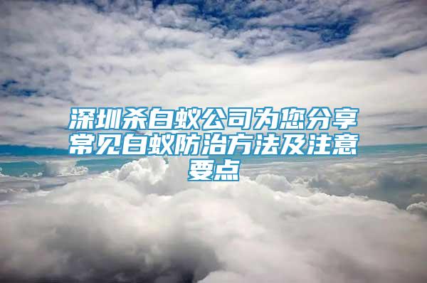 深圳杀白蚁公司为您分享常见白蚁防治方法及注意要点