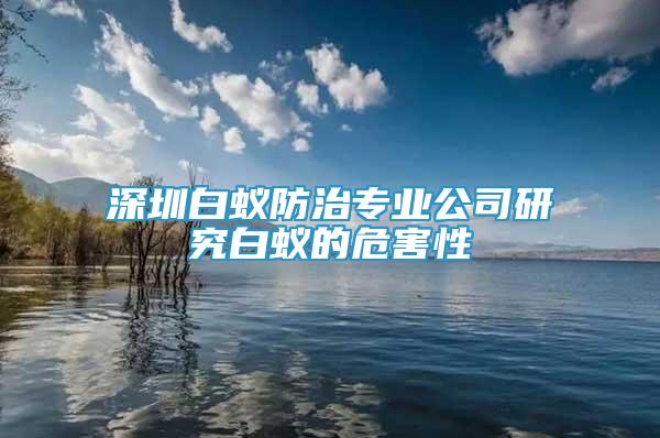 深圳白蚁防治专业公司研究白蚁的危害性